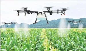 agriculture news 7
