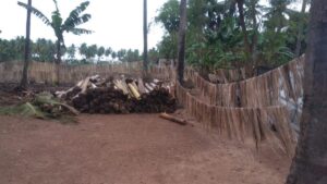 agriculture news 9
