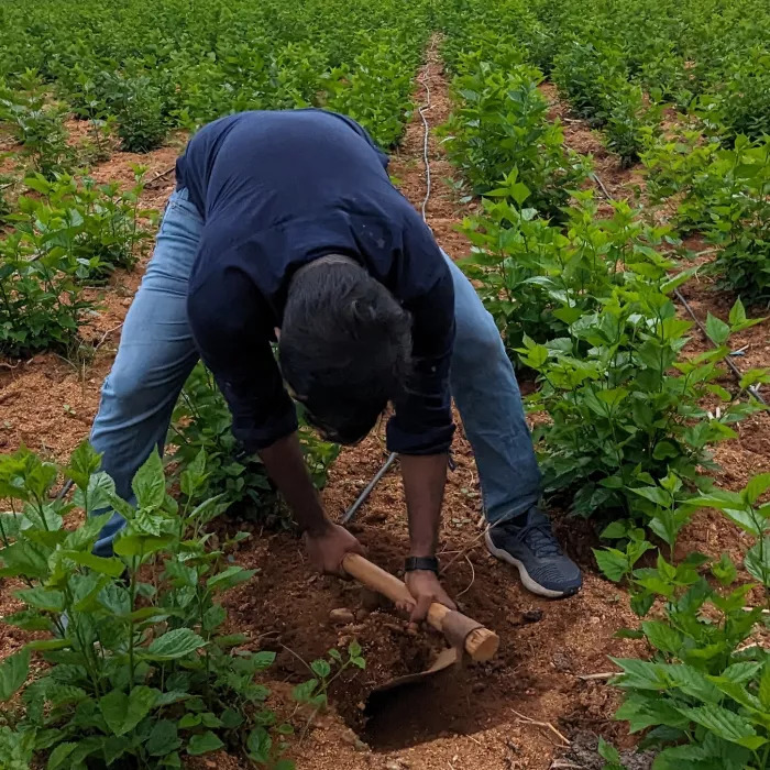 agriculture news1
