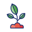 icons8 seedling 64